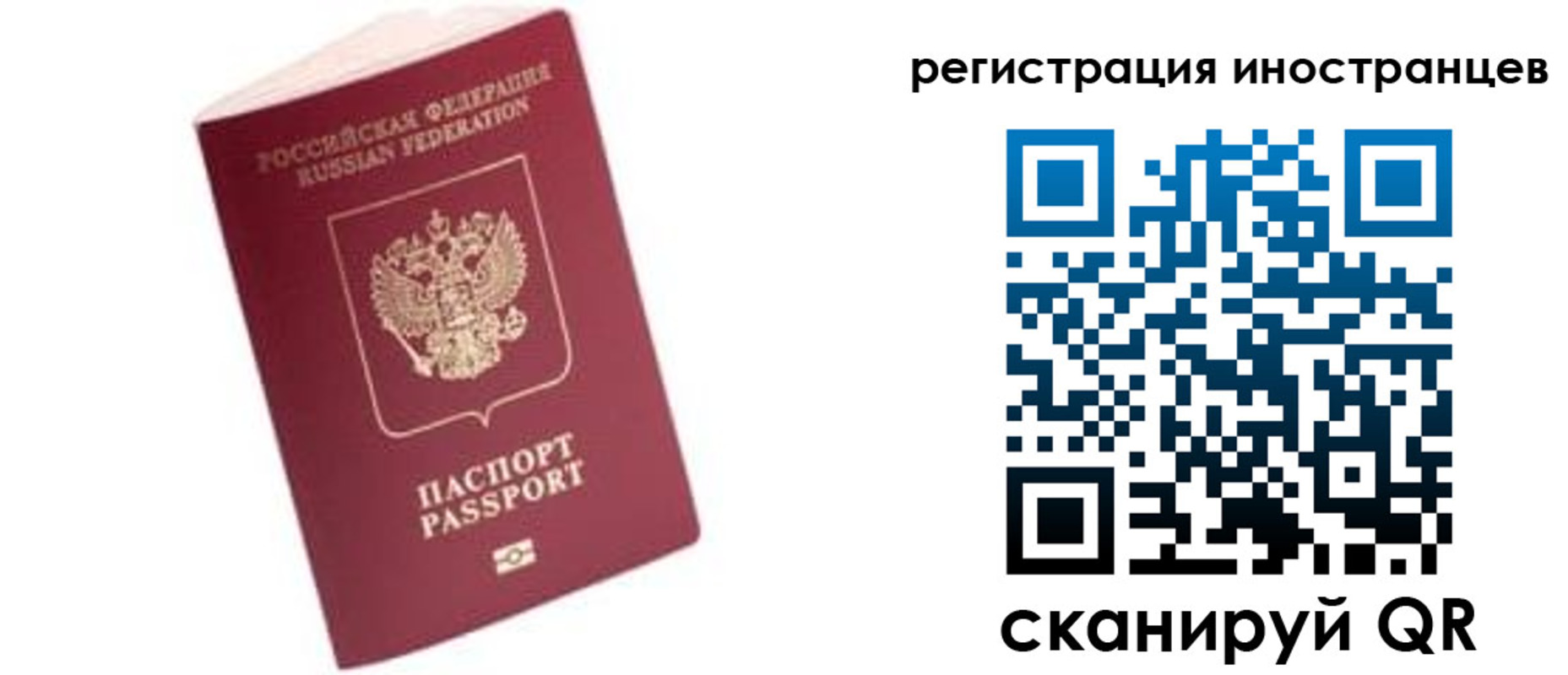 прописка гарантия в Боровичах